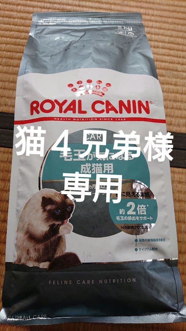 猫４兄弟様。ロイヤルカナン