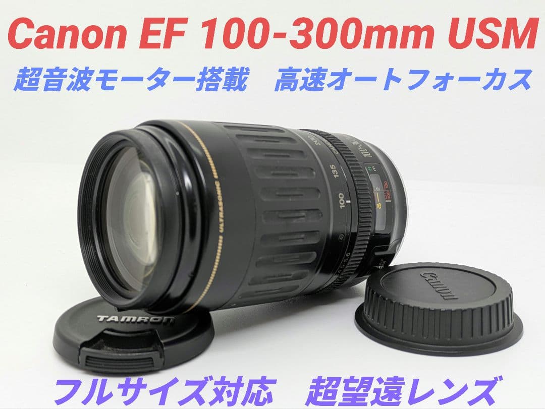12月1日限定価格♪Canon EF 100-300mm USM