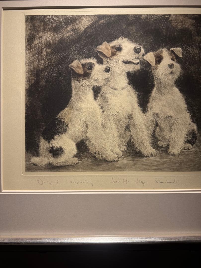 他の方発送× Meyer-Eberhardt