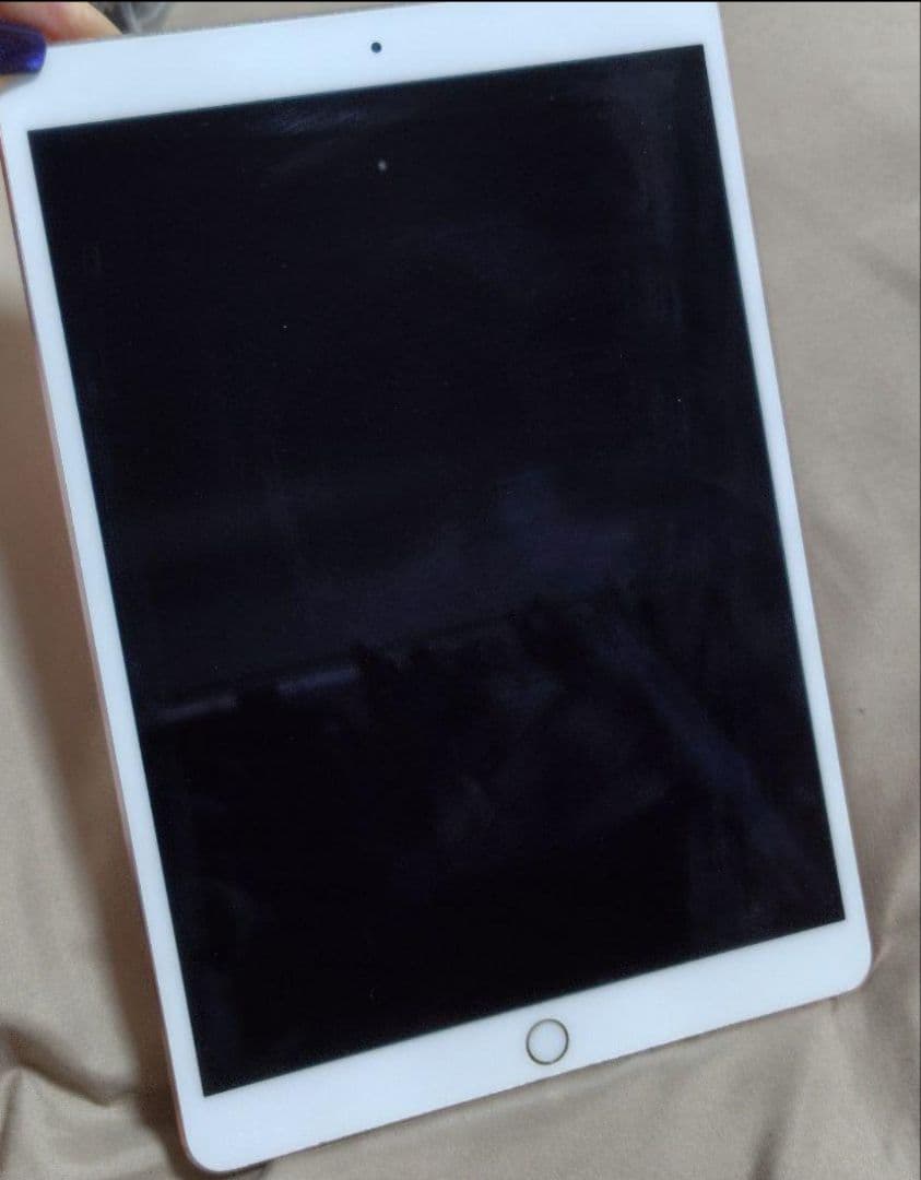 ト*ン様 ♡iPad Pro♡ 10.5インチ Wi-Fi 256GB✨美品✨