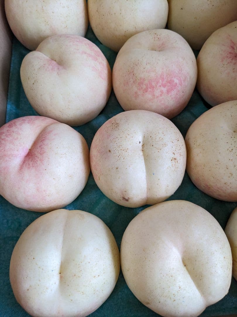 本日終了！桃☆CX(シーエック)大玉15個　5キロ箱　箱込み6.5キロ