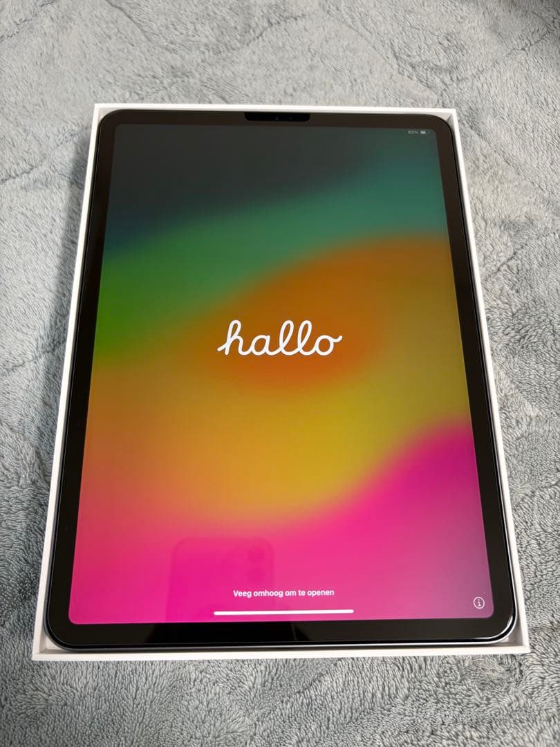 iPad Pro 11インチ 第2世代 +Apple Pencil 第2世代