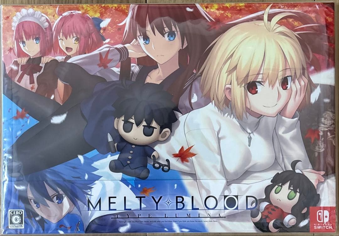 メルティブラッド MELTYBLOOD 初回限定版 任天堂 Switch ゲーム