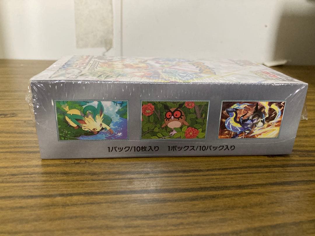 テラスタルフェスe x