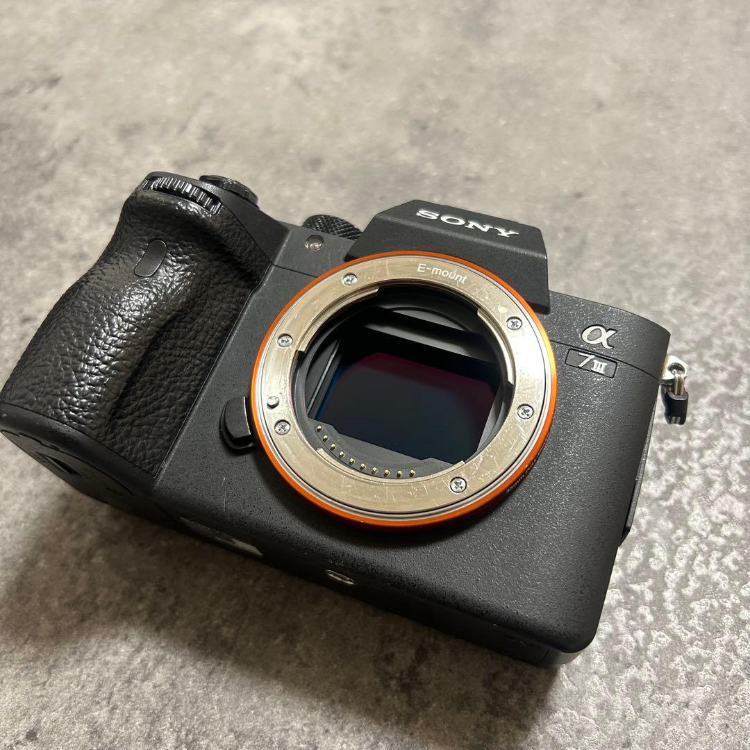 SONYα7iiiミラーレス一眼カメラ・Gマスターレンズ24-70mmf2.8