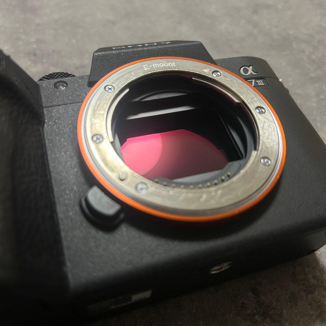 SONYα7iiiミラーレス一眼カメラ・Gマスターレンズ24-70mmf2.8