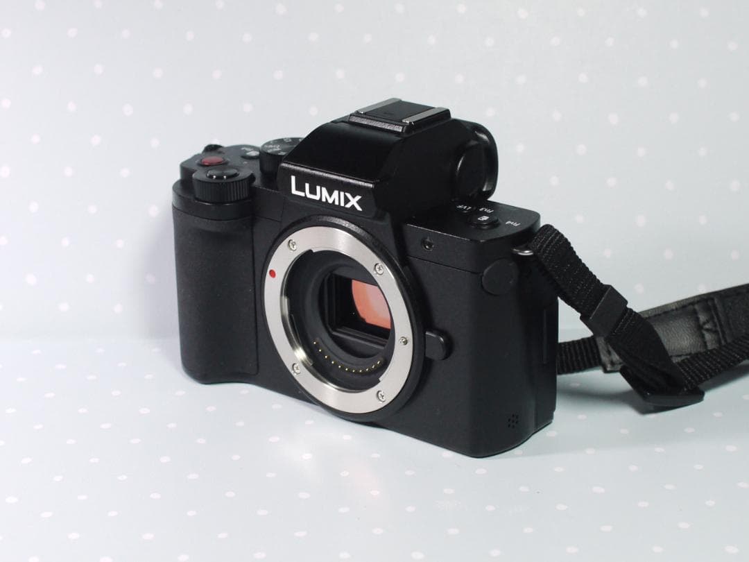 【美品】 LUMIX DC-G100