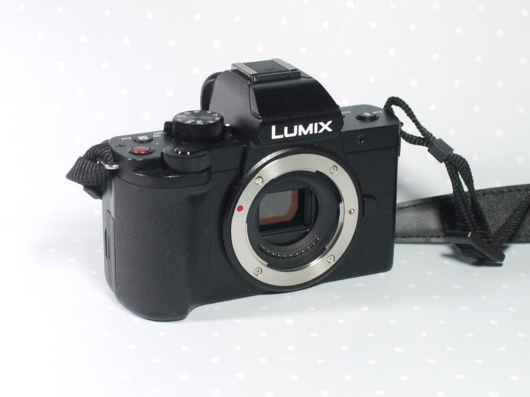 【美品】 LUMIX DC-G100