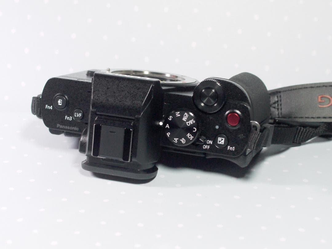 【美品】 LUMIX DC-G100