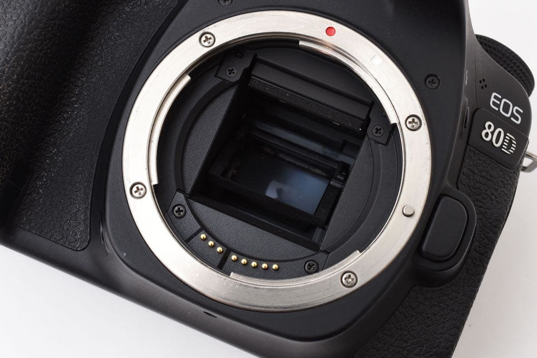 一眼レフカメラ/Canon EOS 80D標準&望遠ダブルレンズセット