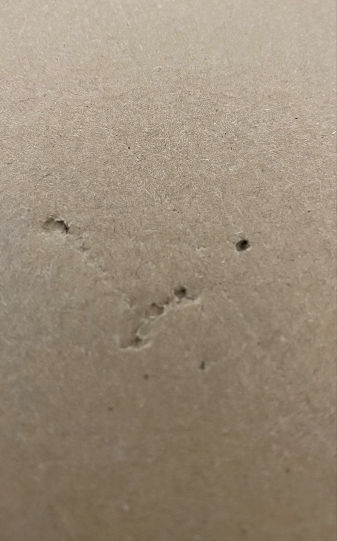 POPNEO-MAXIMUM『白ひげ』 【超限定復刻版】（輸送箱未開封品）