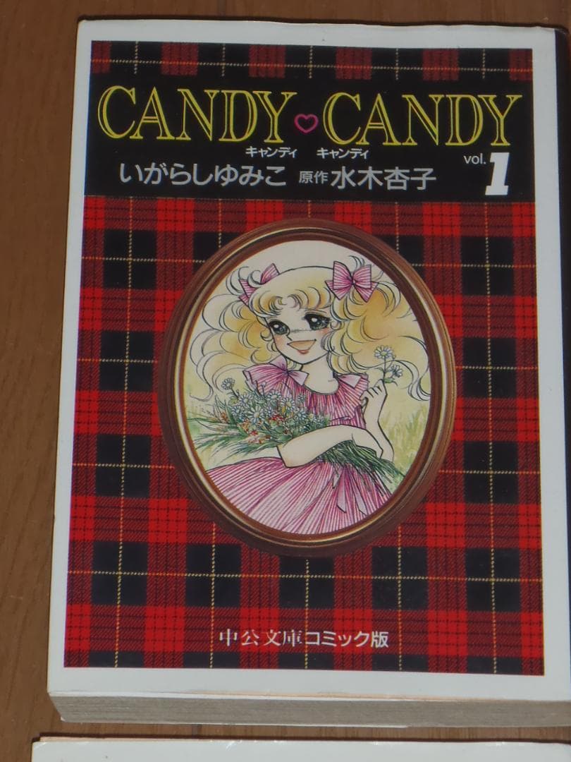 キャンディ♡キャンディ　文庫版全６巻セット　　いがらしゆみこ　水木杏子