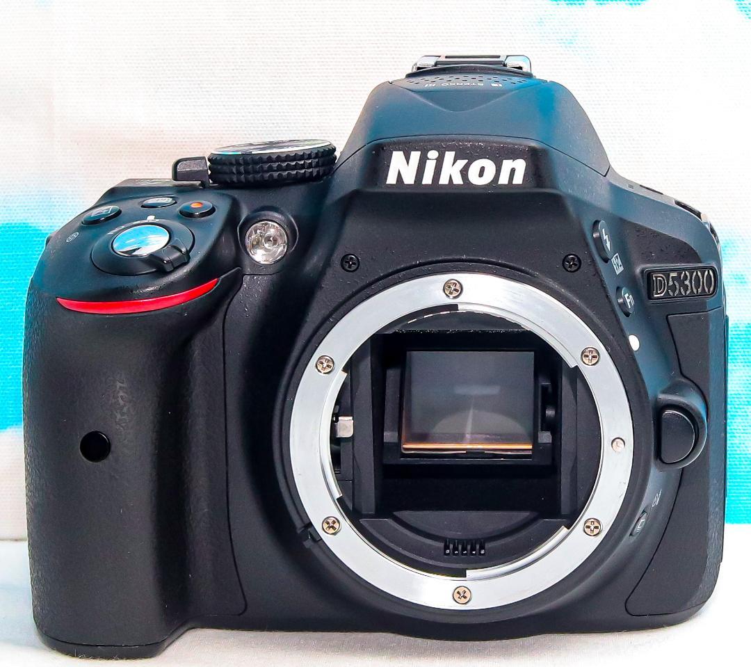 Nikon D5300⭐️ダブルレンズ⭐️Wi-Fi搭載⭐️自撮りがラクラク!