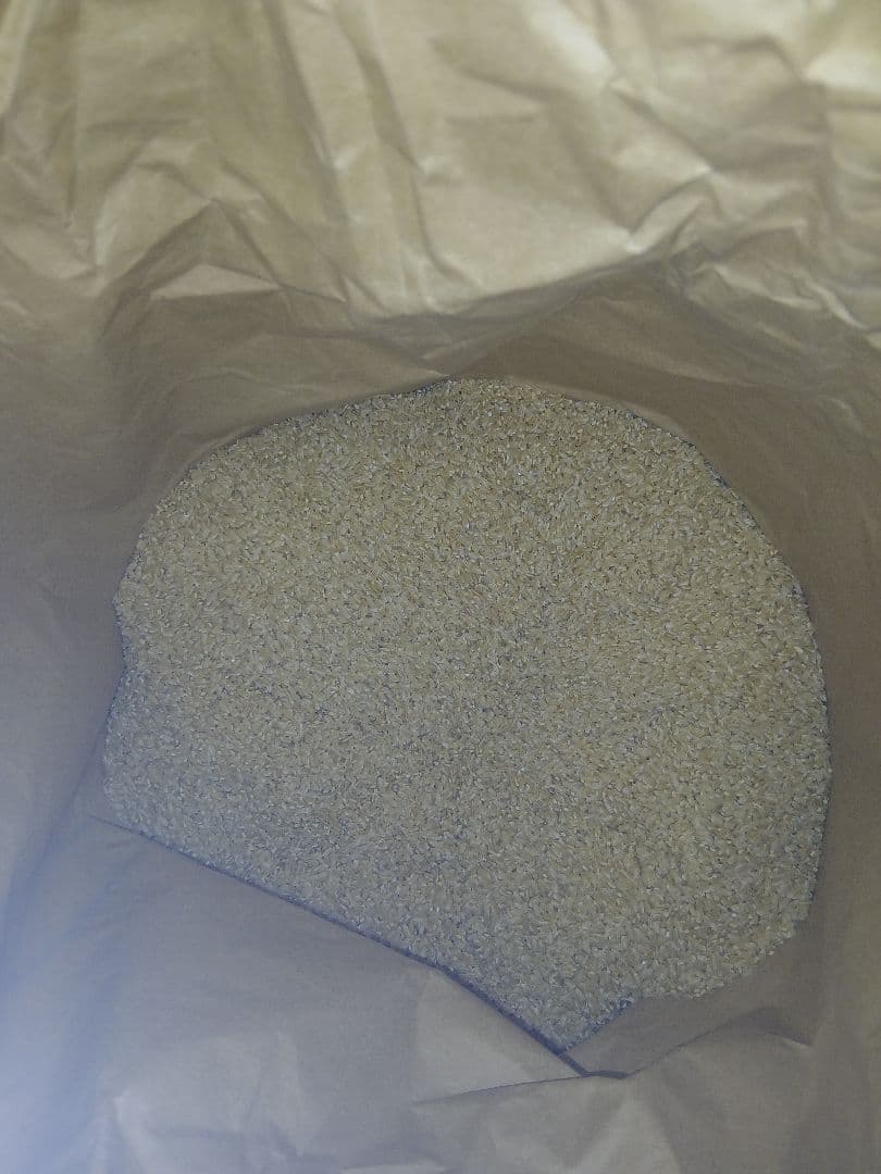 リーシャ　令和７年度産　お米20kg　秋田県産　あきたこまち　玄米20kg