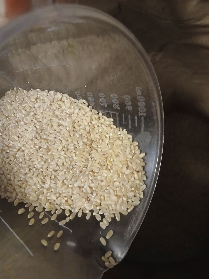 リーシャ　令和７年度産　お米20kg　秋田県産　あきたこまち　玄米20kg