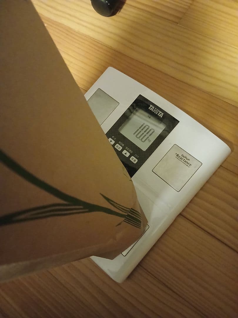 リーシャ　令和７年度産　お米20kg　秋田県産　あきたこまち　玄米20kg