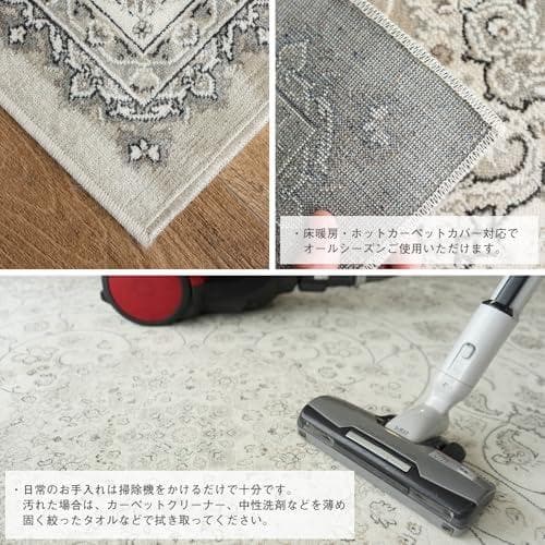 サヤンサヤン ペルシャ ラグ カーペット ロイヤルパレス14650 195x2a