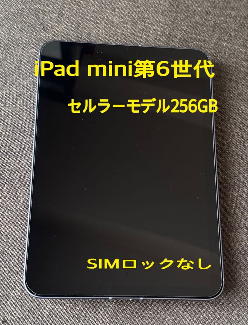 【美品】Apple iPad mini 第6世代 256GB セルラー