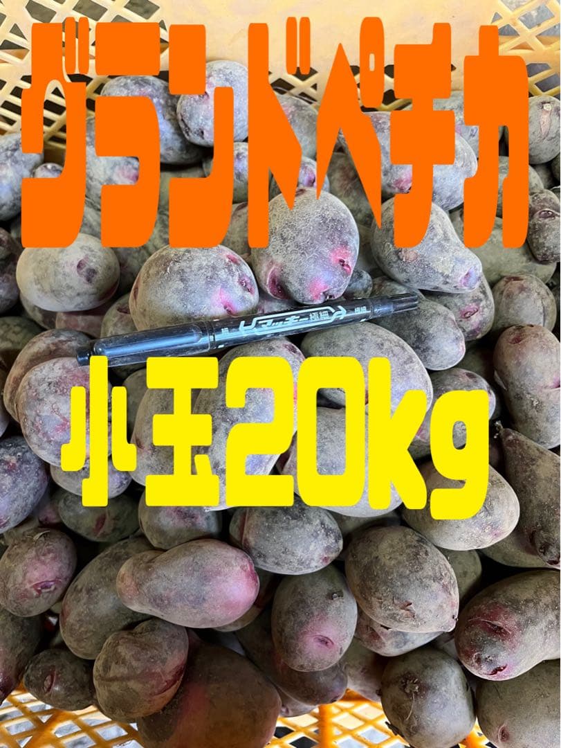 じゃがいも小玉グランドペチカ20kg