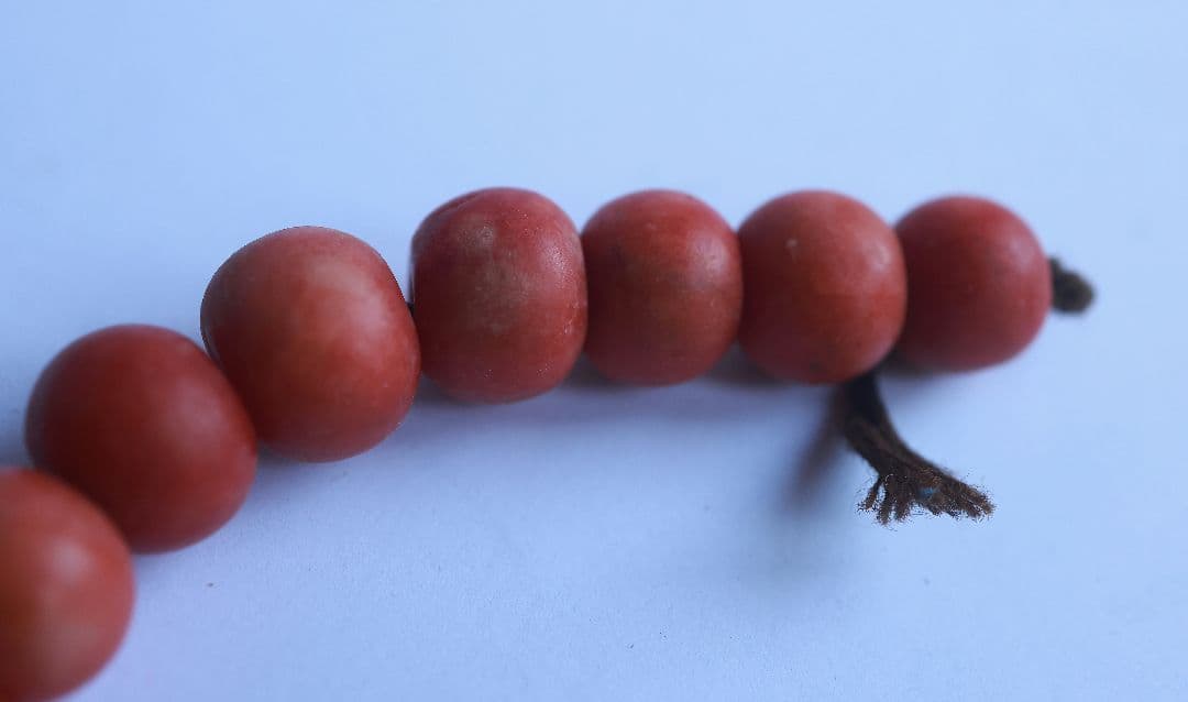 9玉 アンティーク 根掛 髪飾り 珊瑚 日本髪