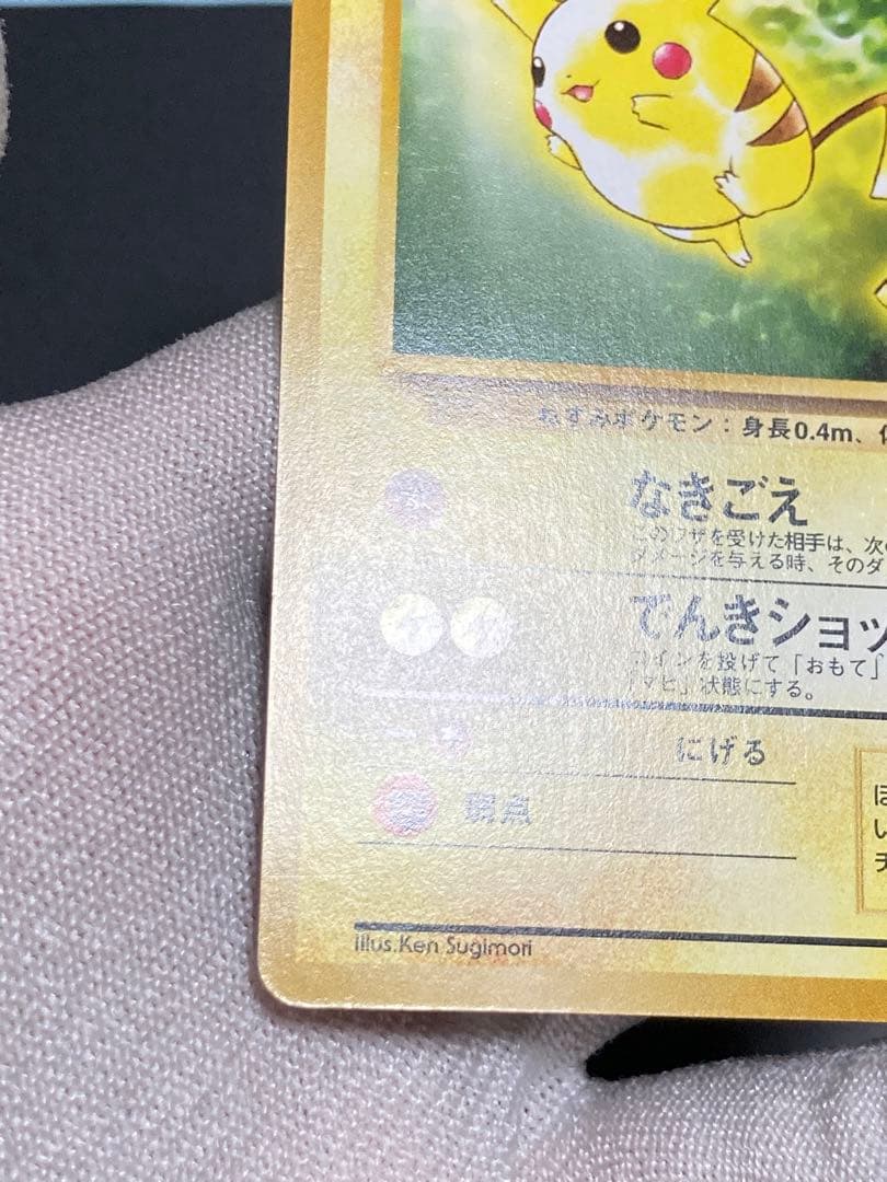 ピカチュウ 旧裏面 pmcg イントロパック 40 フシギダネマーク