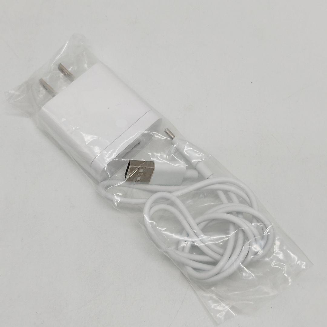 Panasonic　ViTALIFT　バイタリフトブラシ　EH-SP60　EMS