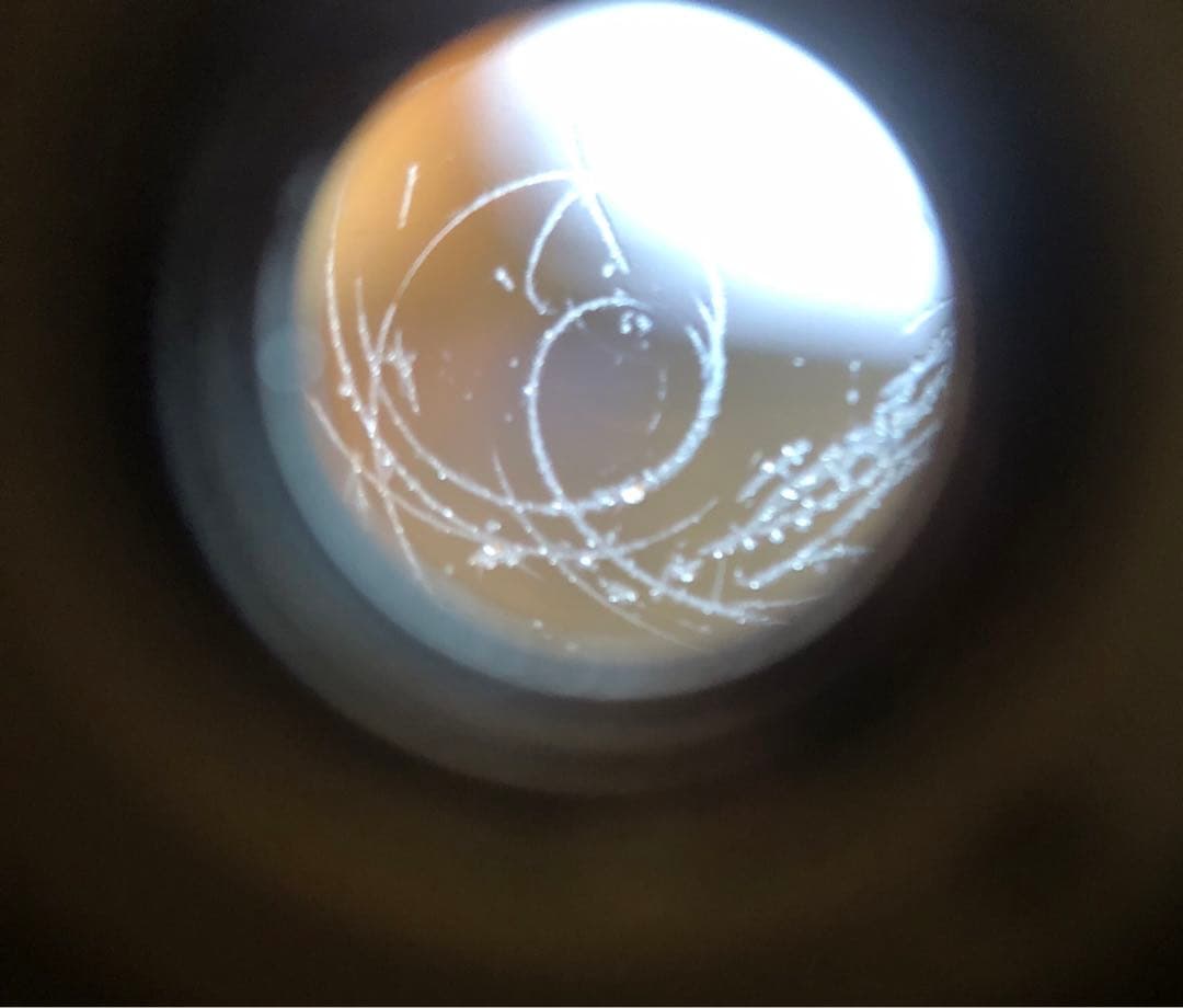 OLYMPUS オリンパス PEN-FT & 20mm F3.5 レンズセット