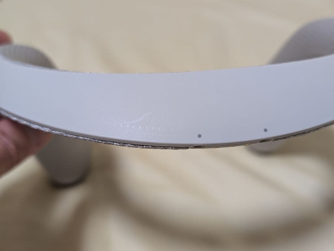 【限定品】SONY SRS-WS1 モンスターハンターアイスボーンコラボモデル