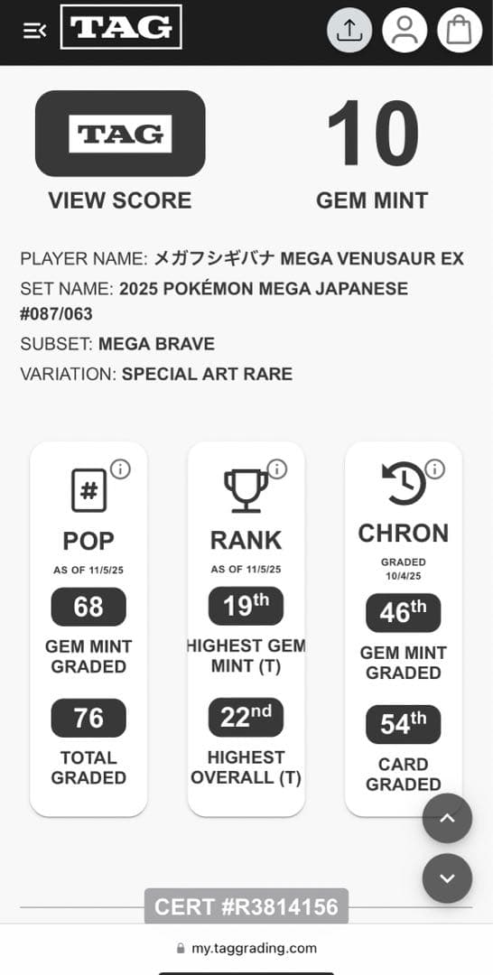 TAG10＊メガフシギバナex SAR メガブレイブ PSA10