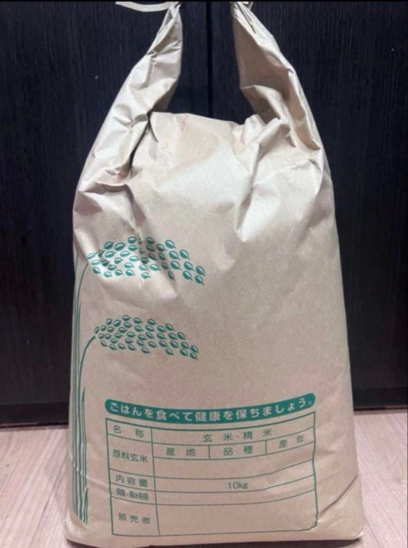 白米 クラフト紙袋入り　10キロ　新米　令和7年度