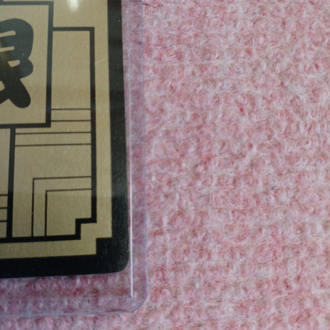 イ*ヌ様 ドラゴンボール　めちゃんこプロジェクト　Ⅱ　孫悟空