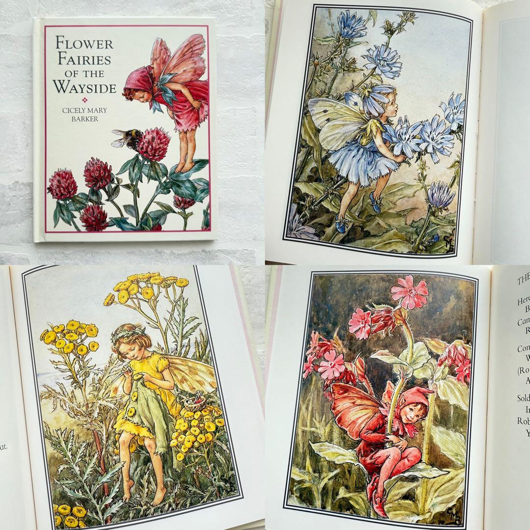 Flower Fairies Libraryꕤ花の妖精ꕤシリーズ全８冊ꕤ洋書