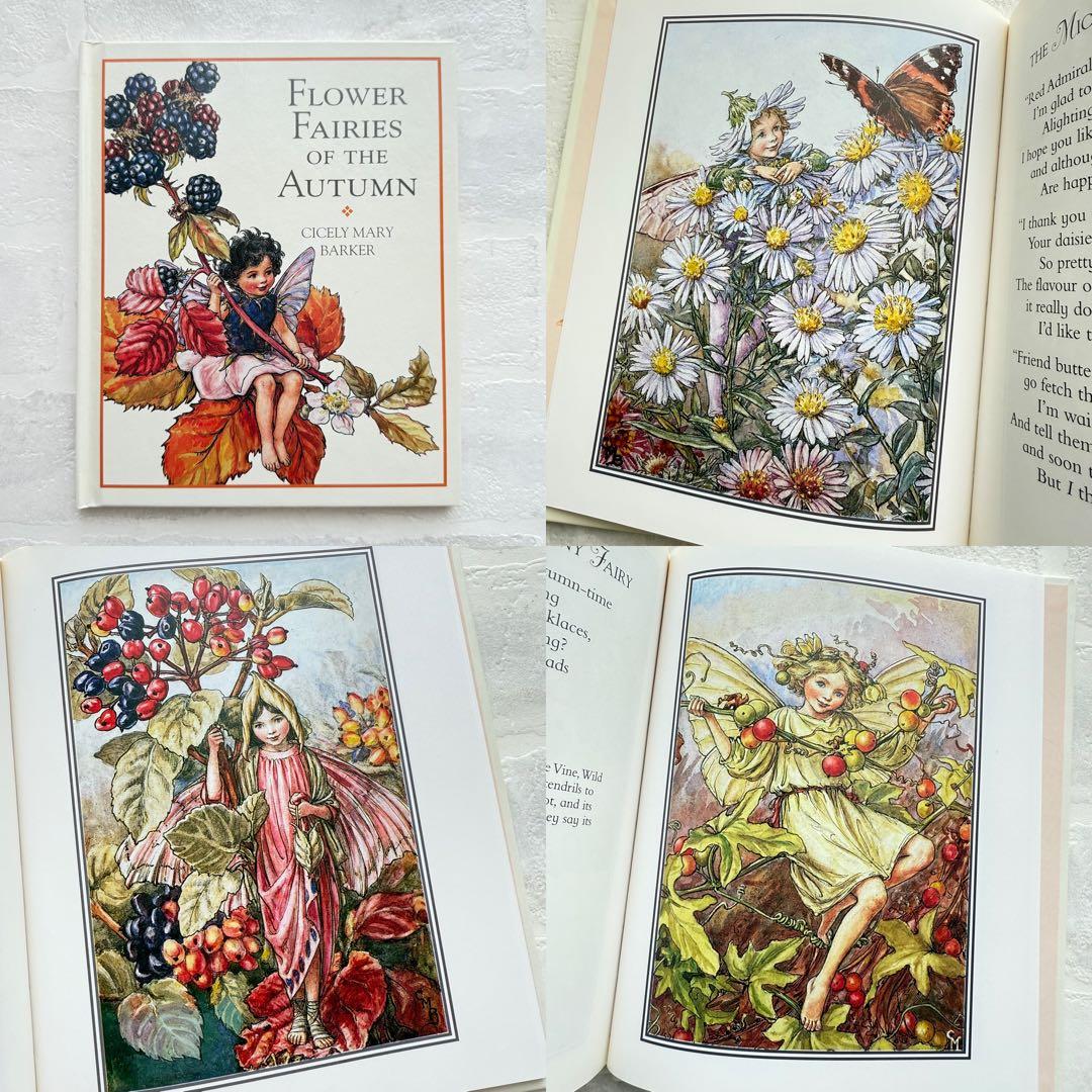 Flower Fairies Libraryꕤ花の妖精ꕤシリーズ全８冊ꕤ洋書