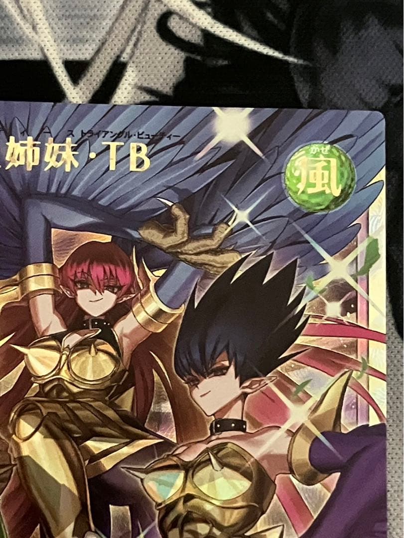 【オーバーラッシュレア】ハーピィ三姉妹TB 遊戯王　ラッシュデュエル