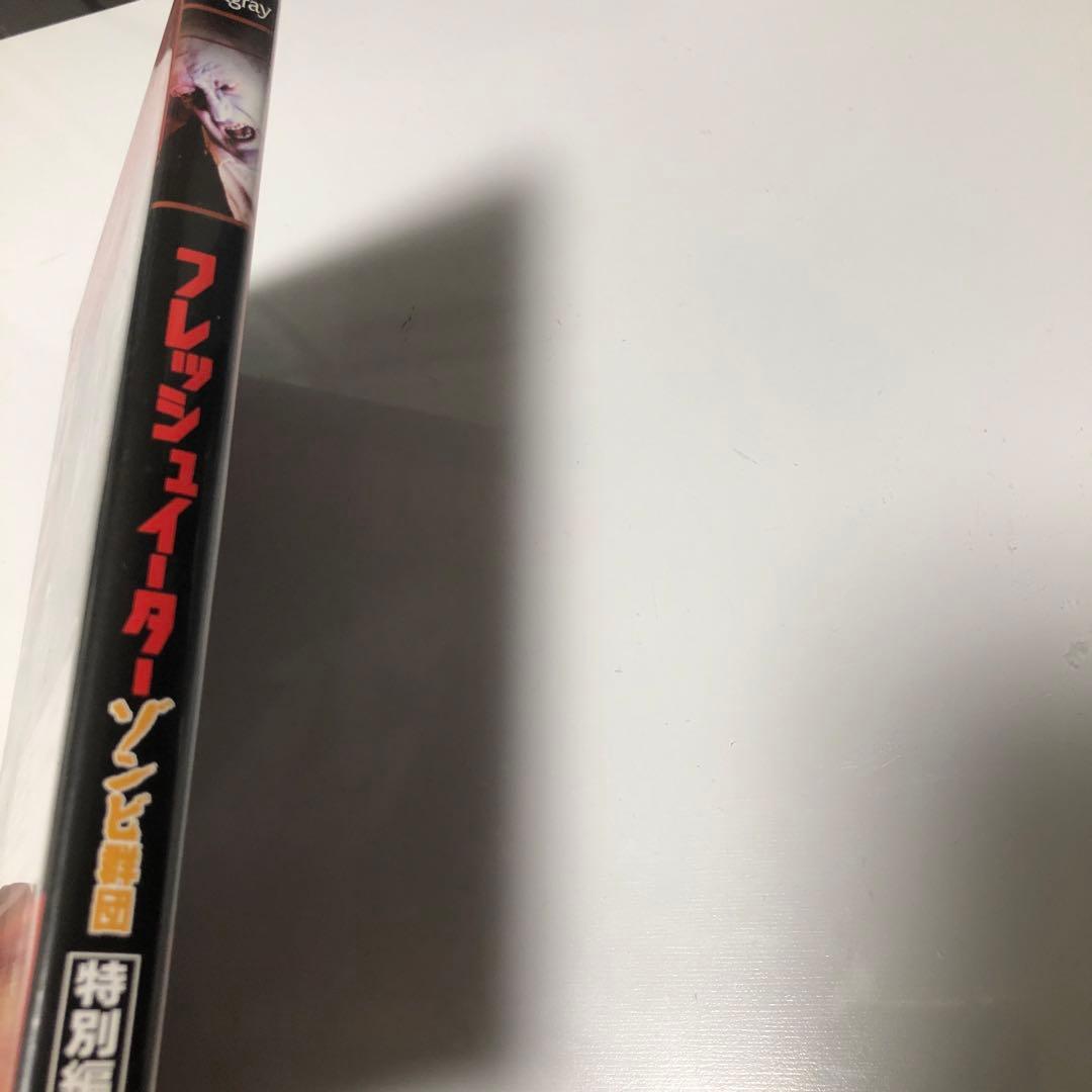 レア　フレッシュイーター　ゾンビ群団　特別編　DVD スティングレイ