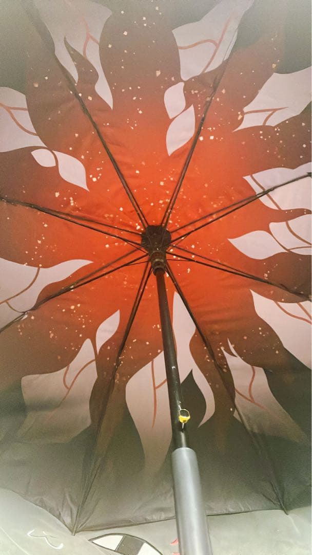 専用　スターレイル　長夜月　傘