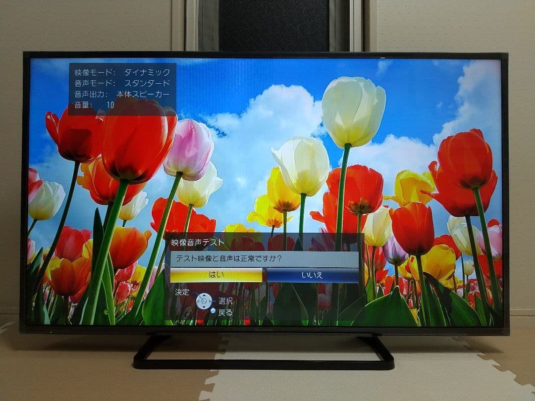 地域限定お届け無料 Panasonic TH-49D300 49インチ液晶テレビ