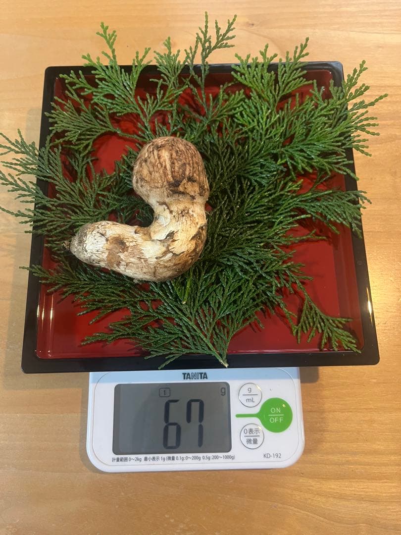 松茸180g（2本）長野県産松茸　南信州産松茸　国産松茸