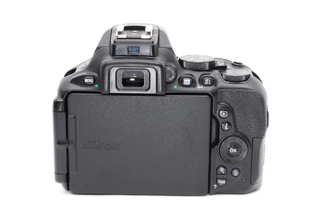 ✨美品 Bluetooth搭載機✨Nikon D5600 ダブルレンズセット