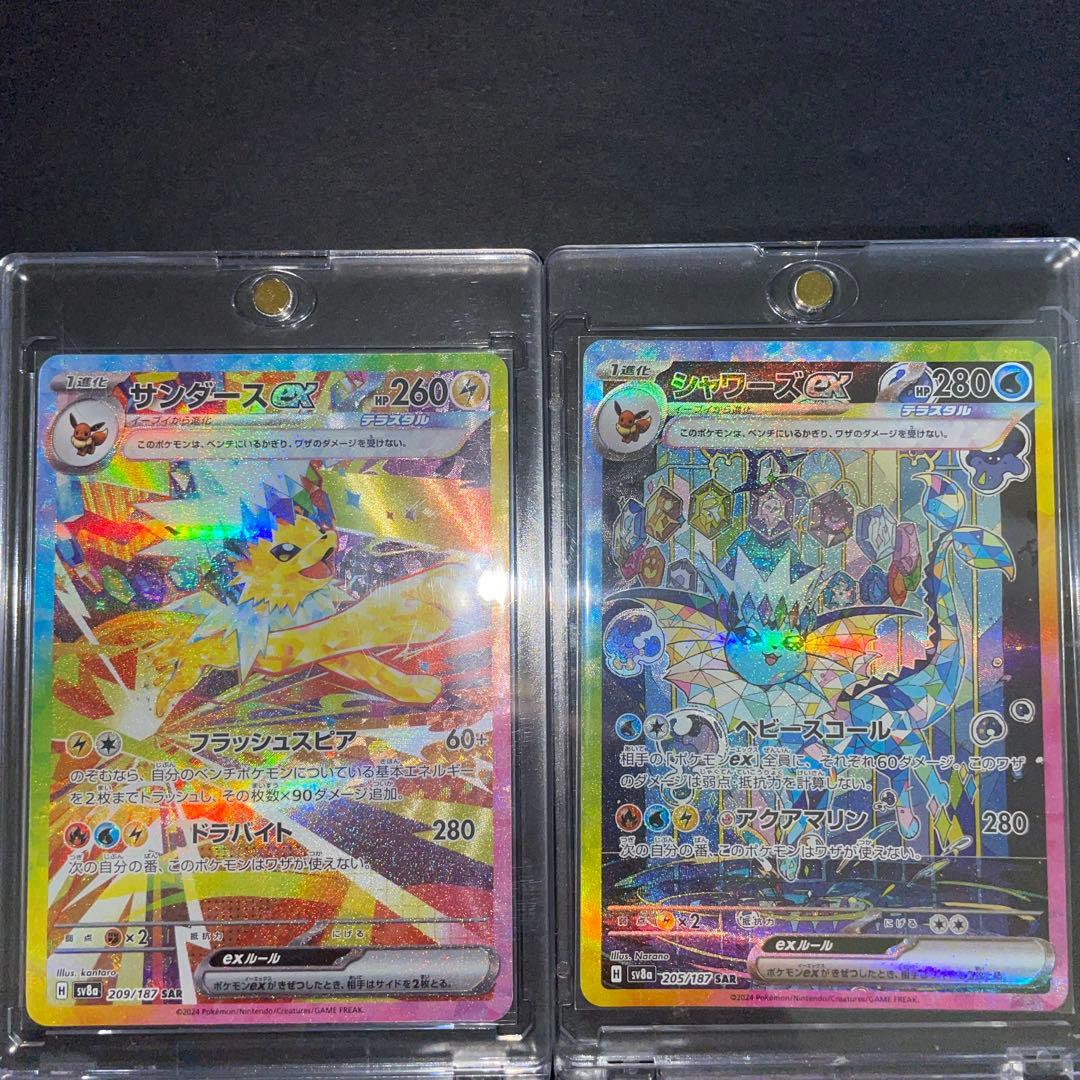 テラスタルフェスex サンダースシャワーズsar