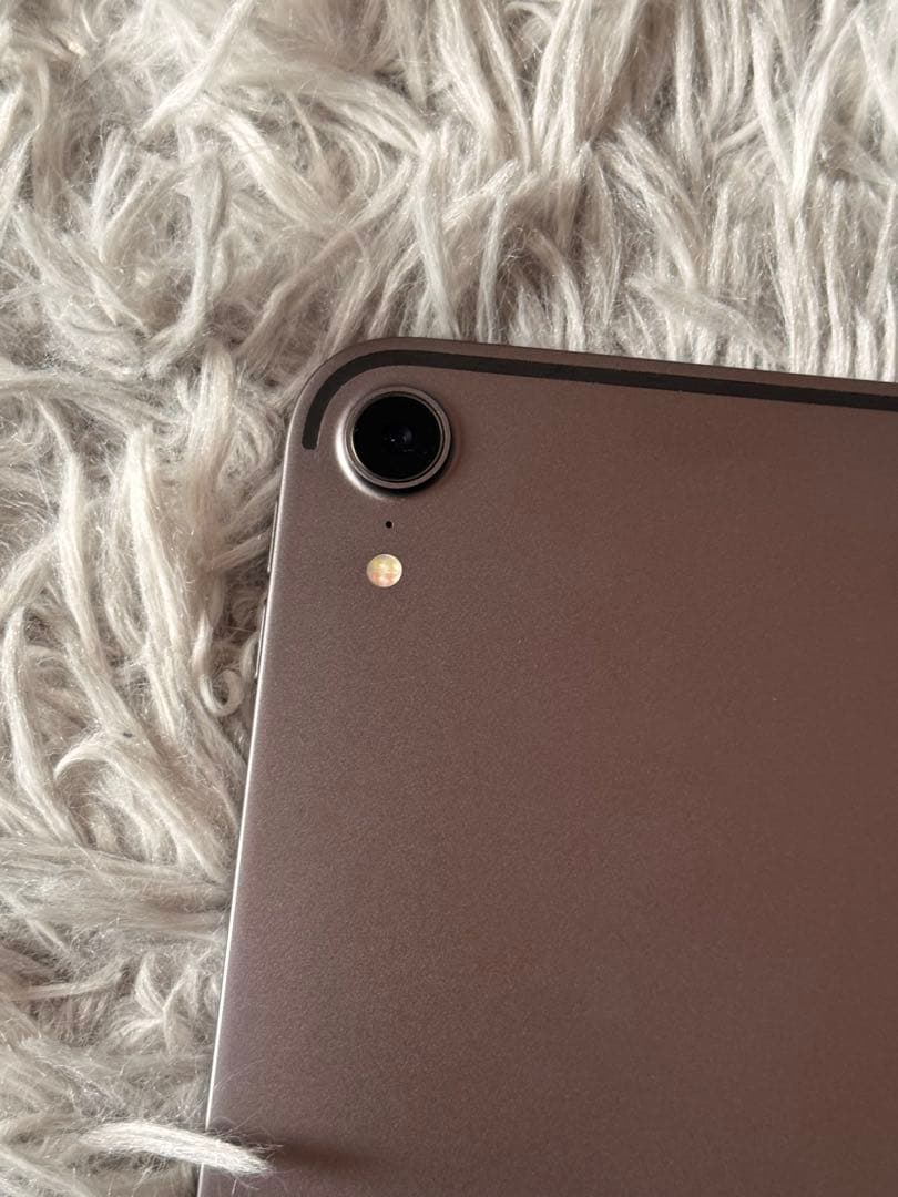 ipad pro 第1世代 256GB 11インチ バッテリー100% ＋おまけ