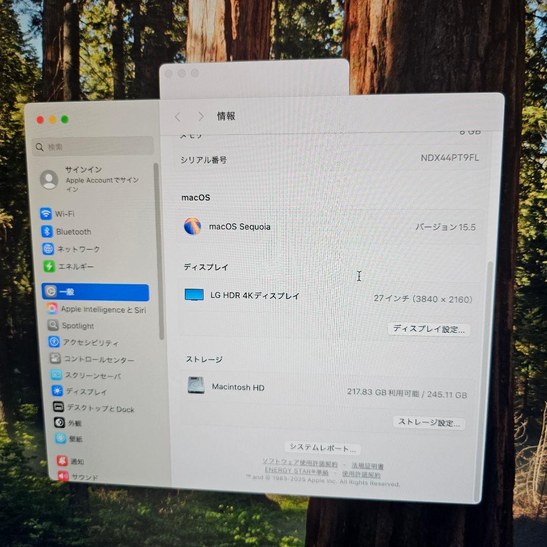 【美品】Mac mini 2023 M2 8GB 256GB MMFJ3J/A