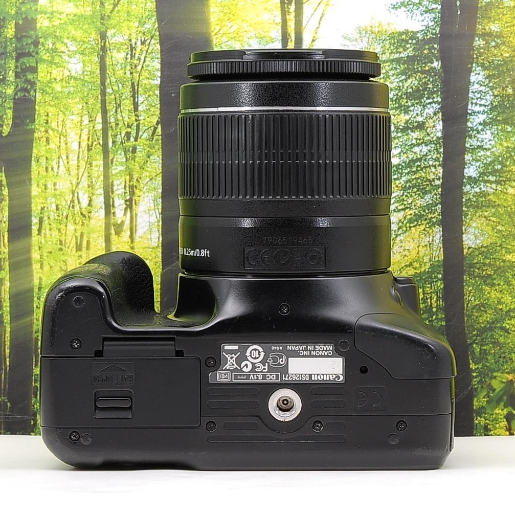 スマホ転送セット★キャノン Kiss X4☆夕方の撮影にも強い一眼レフ