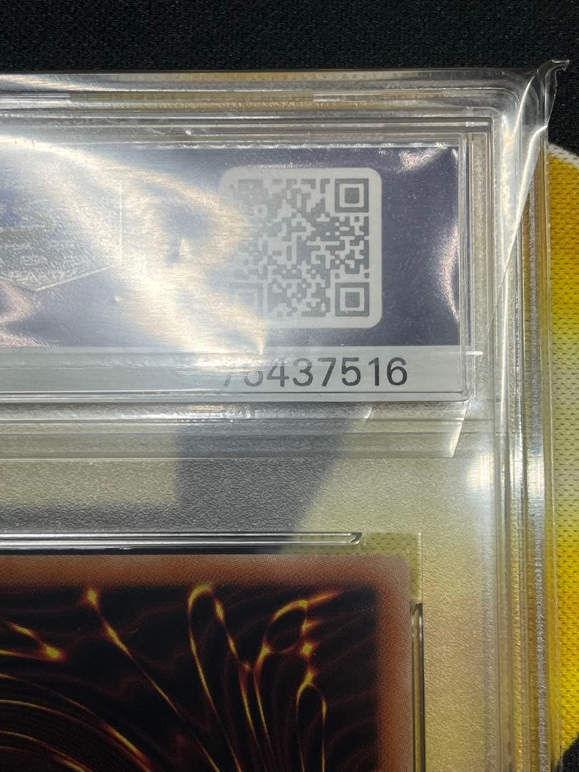 白*】様 PSA10 青眼の白龍 シークレットレア 海馬セット