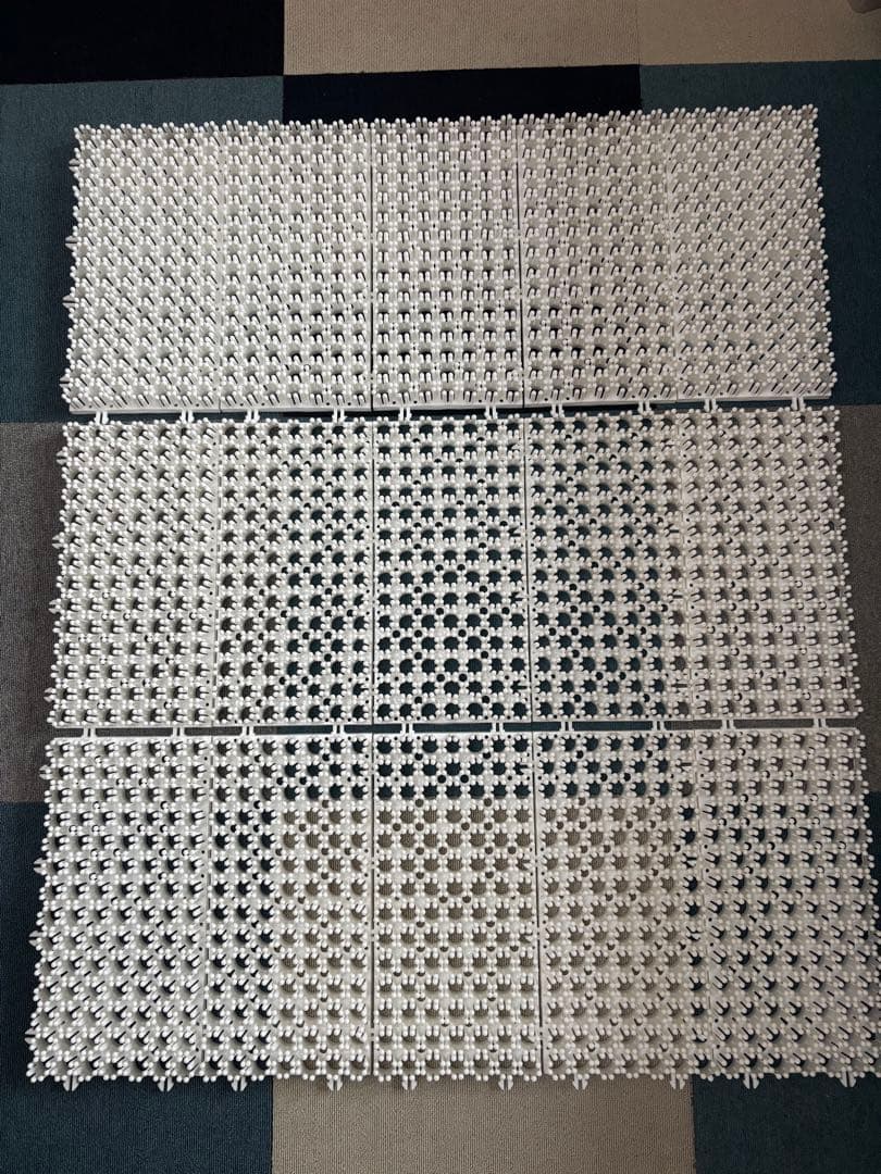 シバカツ　エキスパートセット　15枚