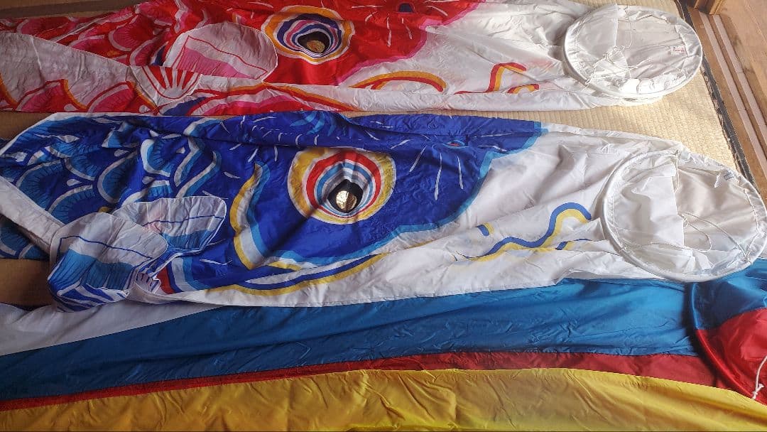 カラフル 鯉のぼり 5m ポリエステル製