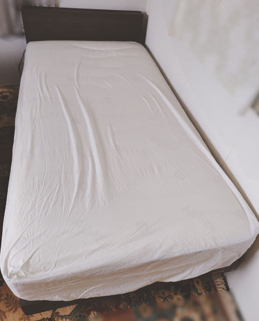 【送料込】フランスベッド　シングル　マットレス　TW 102 Ag PW