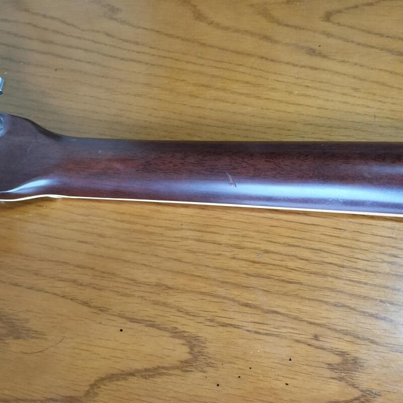 ProMartin W-250 プロマーティン 縦ロゴ アコースティックギター