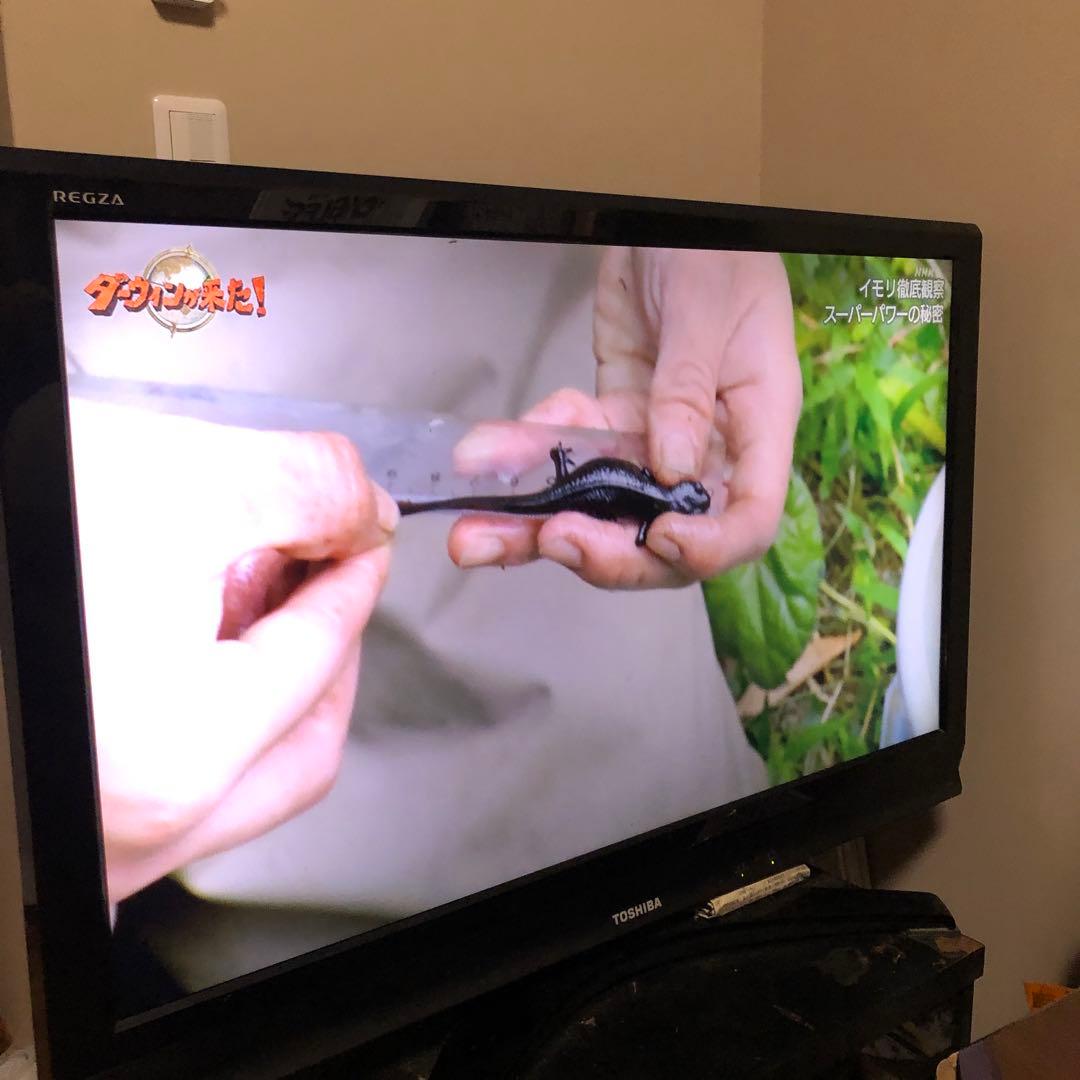 テレビ TOSHIBA REGZA 40R9000