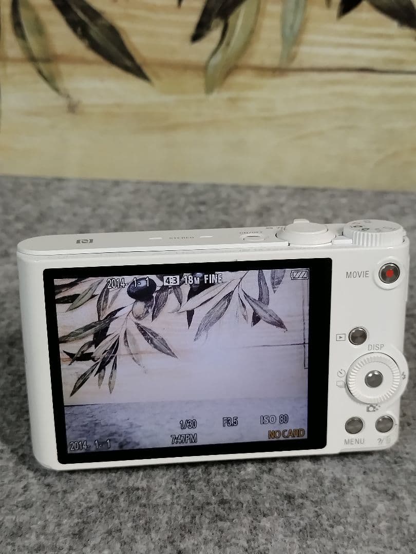 ソニーサイバーショット dsc-wx350
